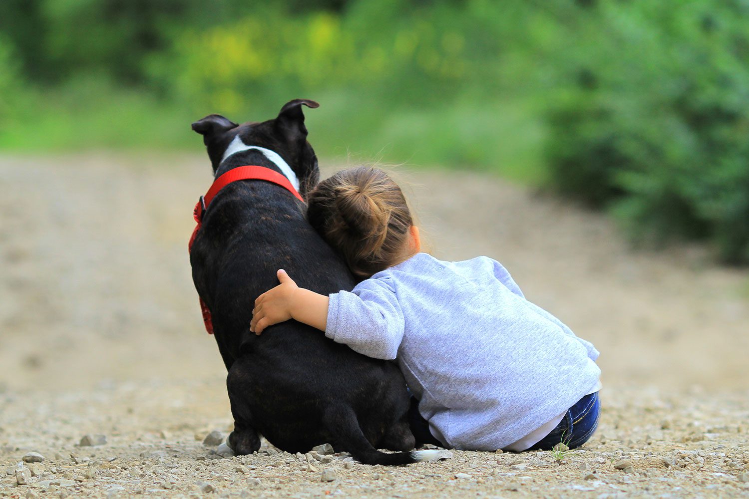 young girl sitting on ground hugging small black and white dog