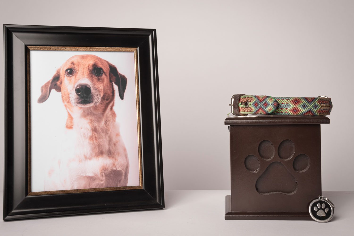 Picture Of Dog Box Next To Wood Box