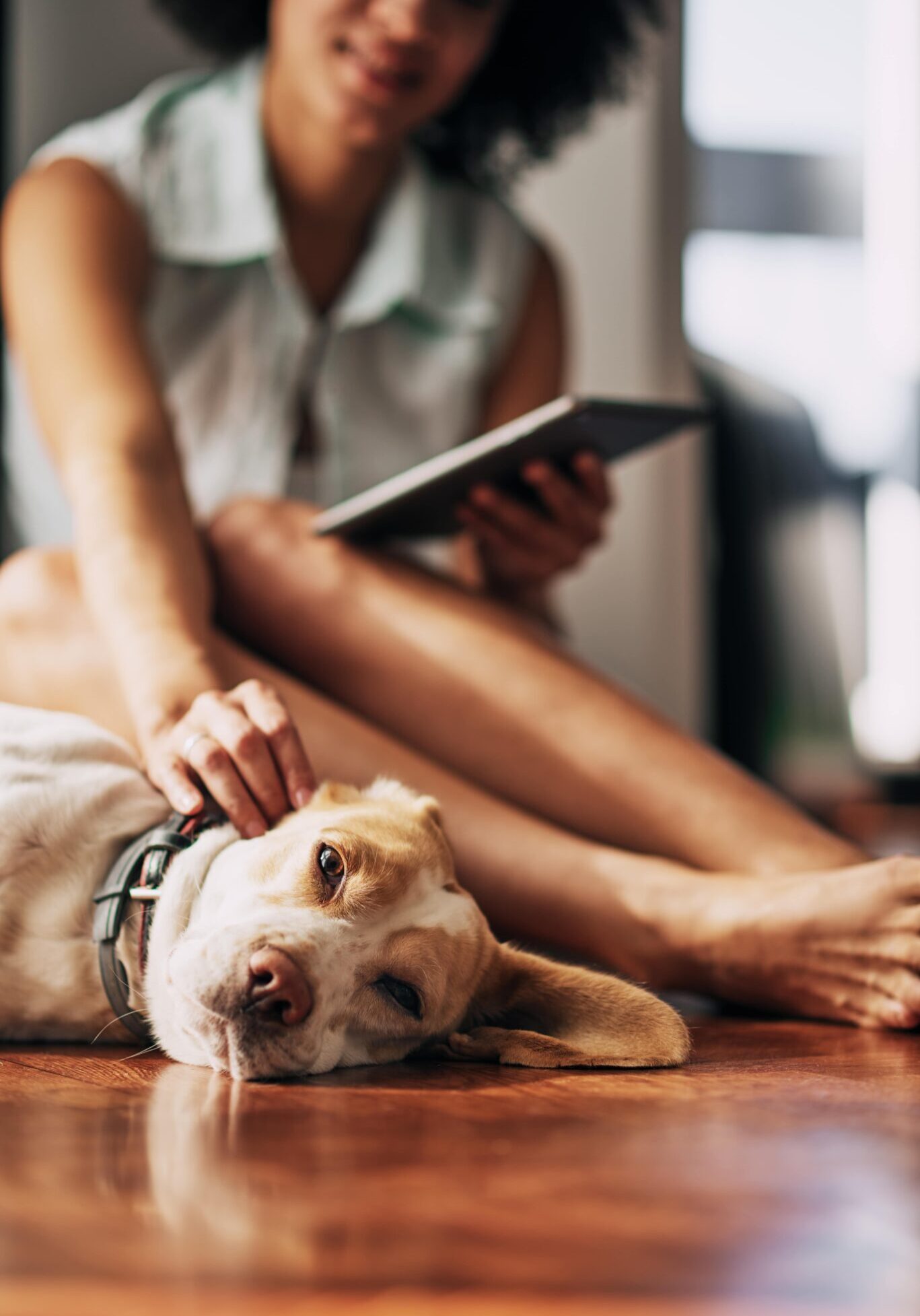 Adobestock 203037325 Min woman sitting on the floor using a tablet and petting her dog