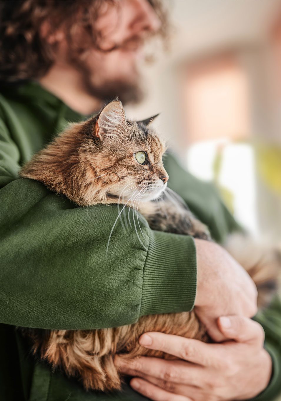 Cat Held By Owner Looking Out Window