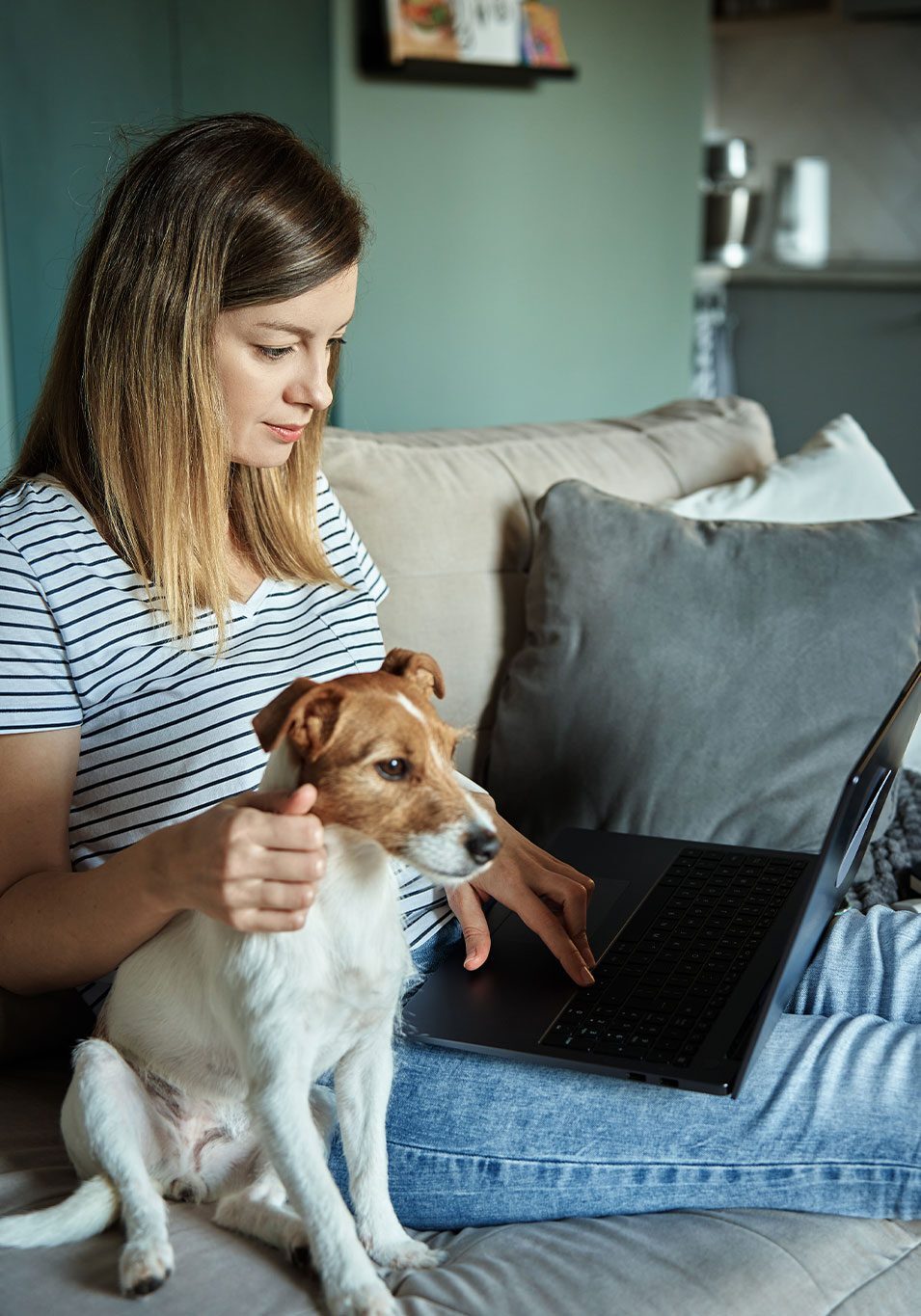 female using laptop and sitting with jack russell terrier dog on couch indoors