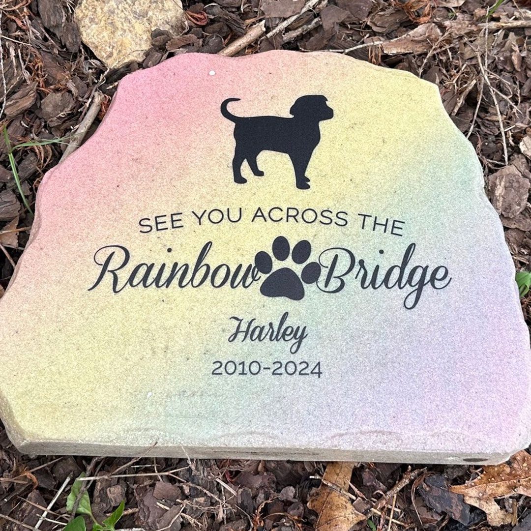 pastel rainbow colored stone with etching of dog on top and the saying "See You Across the Rainbow Bridge Harley 2010-2024"